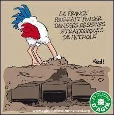 Elle est membre du PS, il s'agit de :