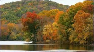 Memphis, les Great Smoky Mountains et Graceland ?