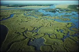 Cap Canaveral, les Everglades et les Keys ?