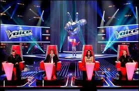 Par quel animateur est présentée l'émission "The Voice" ?