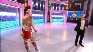 Par quel animateur est présentée l'émission "Le Juste prix" ?