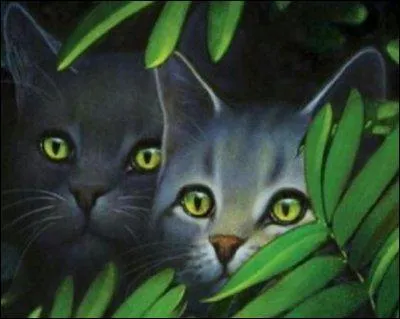 Et pour son frère ?