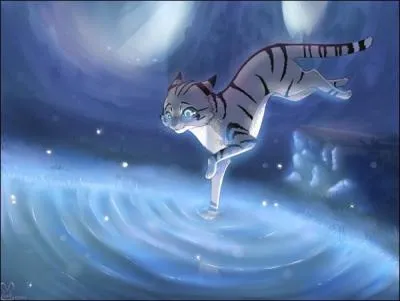 Qui est son mentor ?