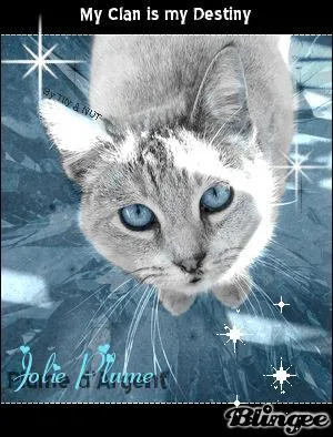 Pourquoi la pousse a-t-elle quitté son camp ?