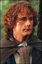 Qui a joué Peregrin Touque ?