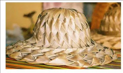 Quel est ce chapeau ?