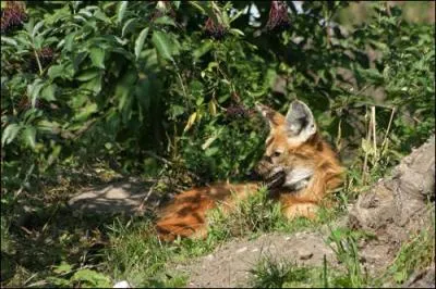 Que vois-tu sur cette image ?