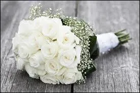 Avec quoi Denis décide-t-il de recouvrir l'horrible cantine dans laquelle Christophe et Tiphaine se sont mariés ?