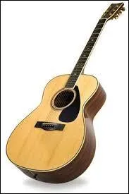 Quel est cet instrument de musique ?