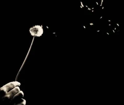 Avec qui Chris Brown est-il sorti ?