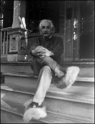 Qui est ce scientifique connu mondialement pour sa formule E=mc2 ?