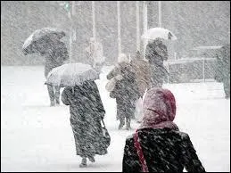 Quel est ce phénomène naturel ?