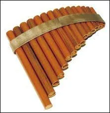 Quel est cet instrument ?