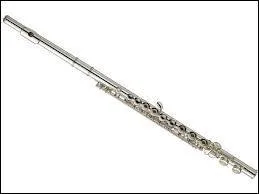 Quel est cet instrument ?