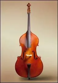 Quel est cet instrument ?