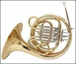 Quel est cet instrument ?