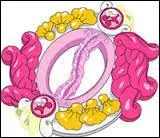 Dans quelle saison utilise-t-elle cet objet ?