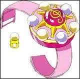 Dans quelle saison utilise-t-elle cet objet ?