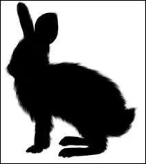 Quel est cet animal ?