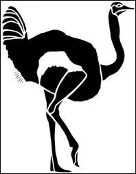 Quel est cet animal ?