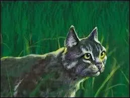 Qui était le compagnon d'Etoile Bleue ?