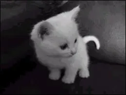 Qui sont les enfants d'Etoile Bleue ?