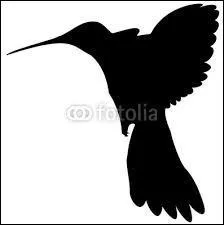 Quel est cet animal ?