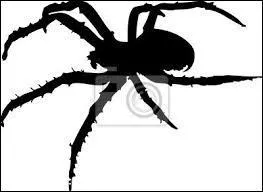 Quel est cet animal ?