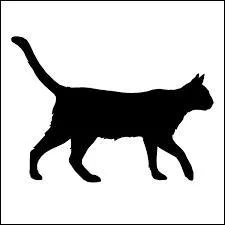 Quel est cet animal ?