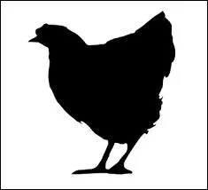 Quel est cet animal ?