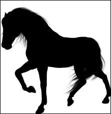 Quel est cet animal ?