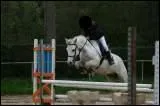 Quelle discipline est en train de pratiquer ce cheval et sa cavalière ?