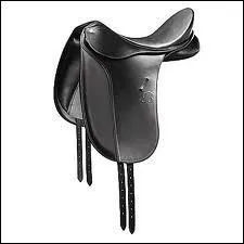 A quoi sert cette selle ?