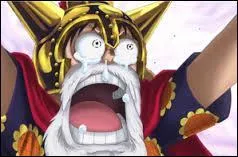 Pourquoi Luffy pleurait-il avant le début de la finale du Colisée ?