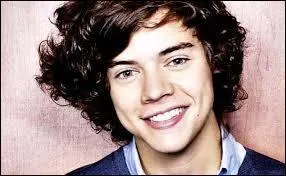 Avant X Factor, où travaillait Harry ?