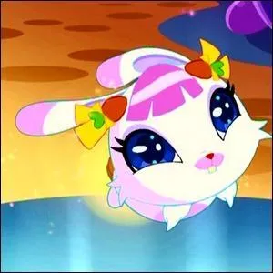 Comment s'appelle le pet de Layla ?