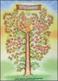 Combien y a-t-il de prophètes cités dans le Coran ?