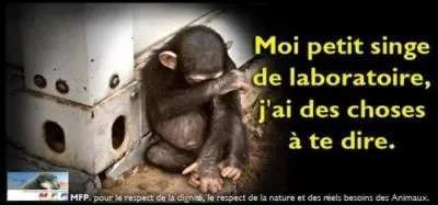 Pour terminer ce quiz dites-moi quel est l'auteur de cette phrase. Un petit indice : il a déjà été cité auparavant. « Il faut apprendre aux enfants à respecter et à comprendre les animaux. Quant aux adultes, qu'ils cessent d'en faire des bêtes de cirque, de jeu, d'abattage ou de laboratoire."