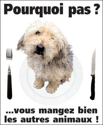 Parmi ces trois phrases qui plaident en faveur du végétarisme, laquelle est de Confucius ?