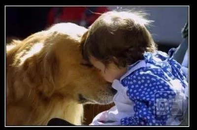 D'après Tolstoï, que doit faire une personne si elle « aspire à une vie vertueuse » ?