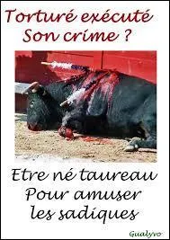 De tout temps beaucoup de personnalités ont dénoncé cette soi-disant tradition barbare qu'est la corrida. D'après vous parmi ces trois phrases, laquelle est d'Émile Zola ?