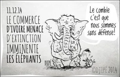 Á vous de terminer cette phrase : « La cruauté envers les animaux est 