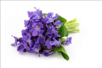 Les dernières questions porteront sur la chanson principale de ce film. Tout d'abord, quel en est le titre ?