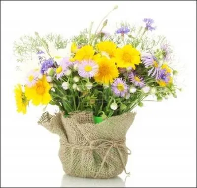 Dans le refrain, le chanteur cité à la question 3 dit : "l'amour est plus doux que...". A vous de compléter.