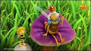 Qui a appris à Maya à voler ?