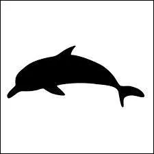 Quel est cet animal ?