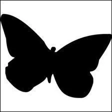 Quel est cet animal ?