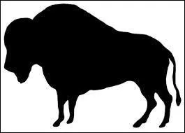 Quel est cet animal ?