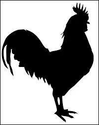 Quel est cet animal ?