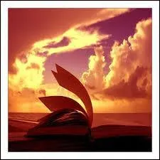 En parlant de Gandhi, le narrateur dit :